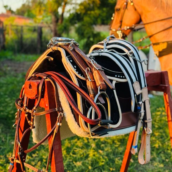 O kit dos seus sonhos! 🐎💸